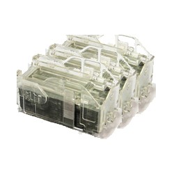 EPSON EPSON A3 RIPS Staples