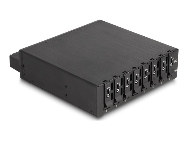 DELOCK 5.25 Wechselrahmen für 8 x M.2 NVMe SSD Slim SFF-8654 47129