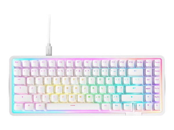 NZXT NZXT Function Elite MiniTKL Gaming Tastatur White ARGB