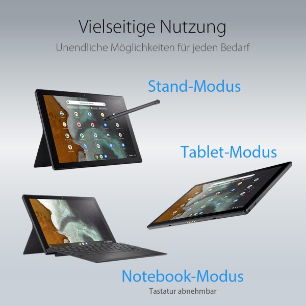 ASUS ASUS Chromebook CM3 CM3001DM2A-R70015 26,69cm (10,51") MediaTek 520 8GB 128GB ChromeOS
