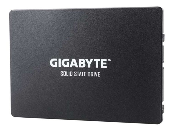 GIGABYTE GP-GSTFS31256GTND 256GB GP-GSTFS31256GTND