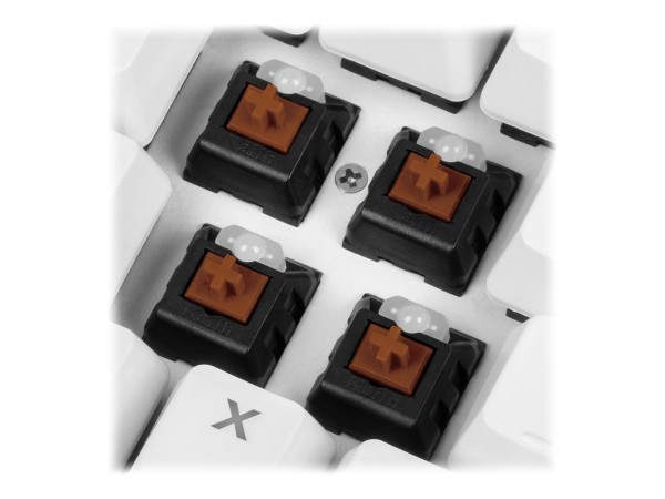 SHARKOON SHARKOON SGK3 wh Kailh Brown US