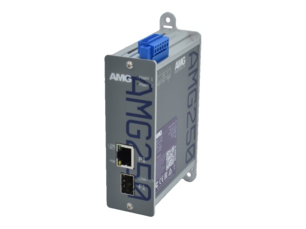 AMG SYSTEMS AMG SYSTEMS Medienkonverter AMG AMG250-1FAT-1S-P30 retail