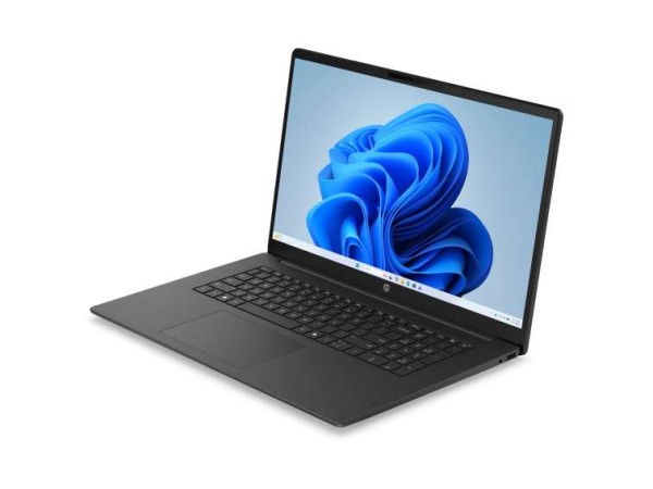 HP OmniBook 3 17-dp0057ng 43,9cm (17,3") Ryzen 5 40 16GB 512GB W11 D49KPEA#ABD
