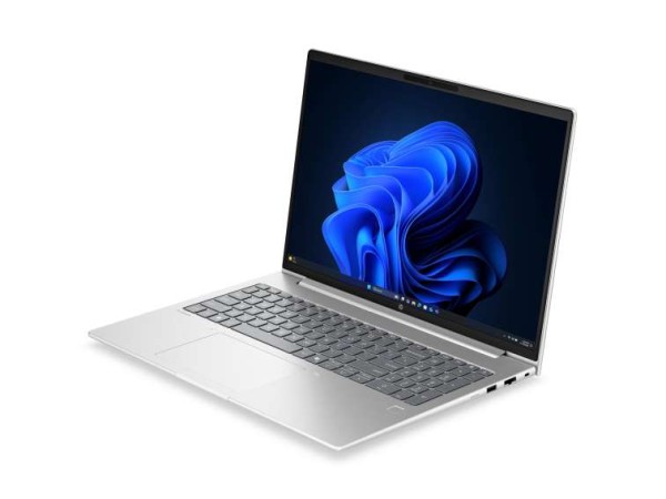 HP ProBook 4 G2a 40,6cm (16") Ryzen 7 250 32GB 1TB W11P DL9P5ET#ABD