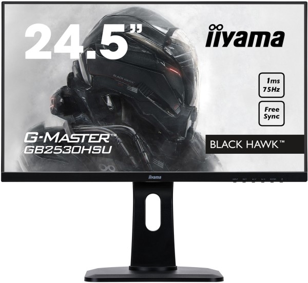 IIYAMA IIYAMA GB2530HSU-B1 62,2cm (24,5")