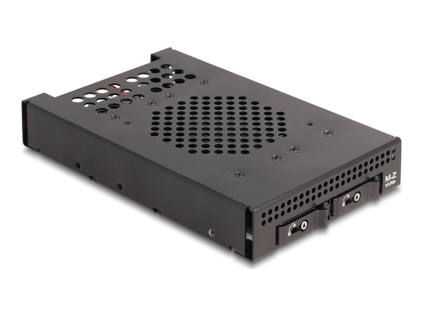 DELOCK 3.5" Wechselrahmen für 2x M.2 NVMe SSD SFF-8612 47070