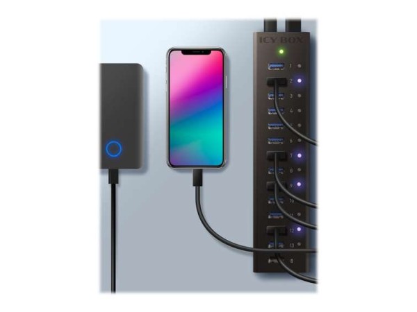 RAID SONIC Hub 13-Port IcyBox USB 3.0 IB-AC6113 mit USB Ladeanschluss IB-AC6113