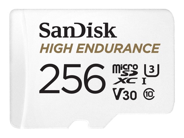 WESTERN DIGITAL SANDISK High Endurance 256GB