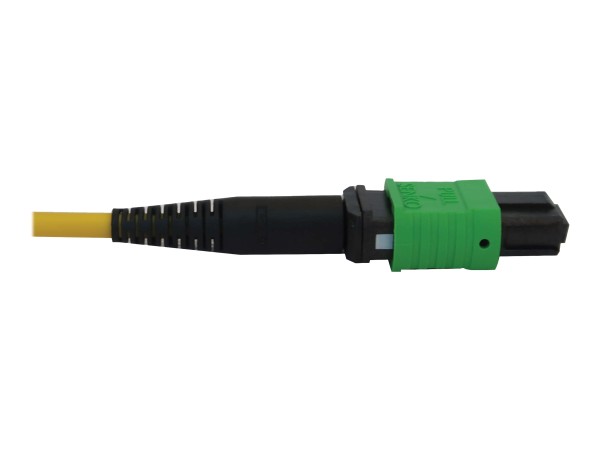 EATON TRIPPLITE 40/100G Singlemode 9/125 OS2 Fiber Optic Cable 3x8F MTP/MPO N392B-23M-3X8AP