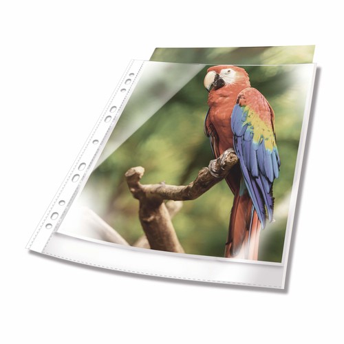 DURABLE Prospekthülle PREMIUM, DIN A4, PP, Rand weiß 265402