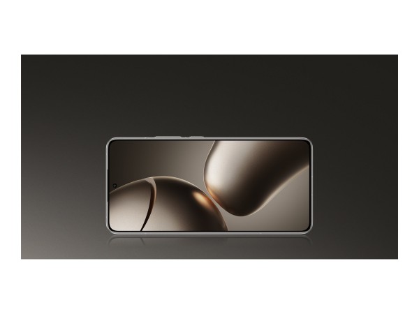 XIAOMI 14T Pro 512GB (Titan Gray, 5G, 12 GB LPDDR5X) MZB0HHFEU