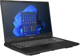 EXONE EXONE go Workstation 1660 X14 40,6cm (16") i9-14900HX 64GB 1TB W11P