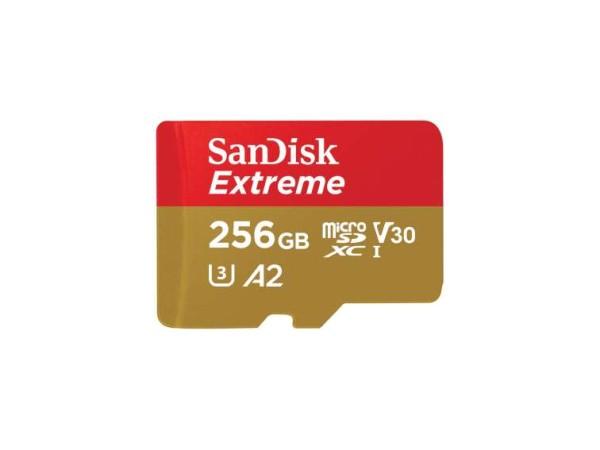 SANDISK Extreme 256 GB MicroSDXC SDSQXAV-256G-GN6GN