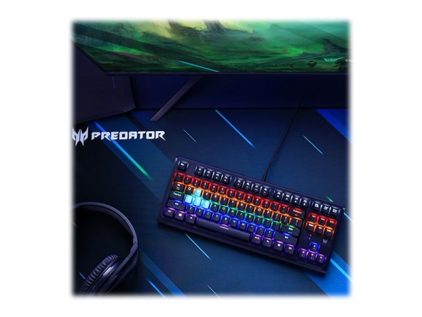 ACER ACER Predator Aethon 301 (QWERTZ)