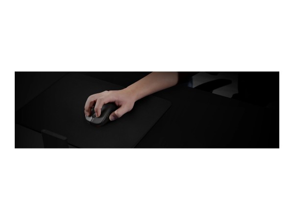 ZOWIE U2 kabellose Maus für E-Sports - schwarz 9H.N4KBE.A2E