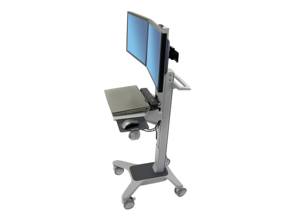 ERGOTRON Neo-Flex Dual WideView WorkSpace 24-194-055