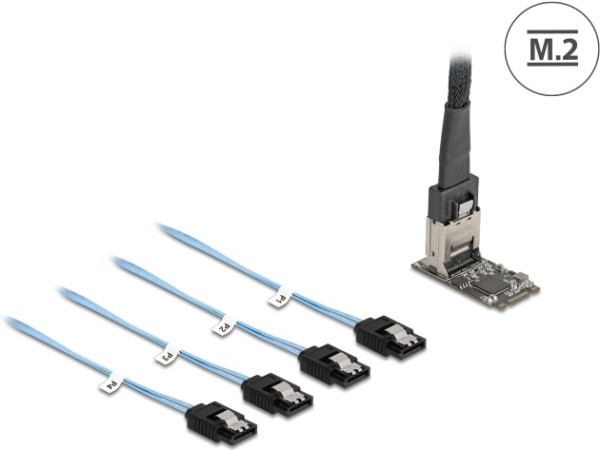 DELOCK DELOCK M.2 2242 Key B+M Kontroller zu 4 x SATA mit 1 m Kabel