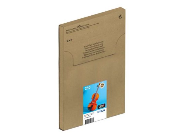 EPSON Multipack 6-colours 250 Easymail C13T16N84510