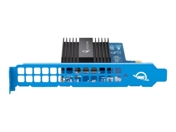 OWC OWC Accelsior 1M2 4TB