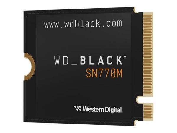 WESTERN DIGITAL WESTERN DIGITAL Black SN770M 1TB