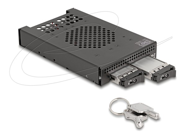 DELOCK DELOCK 3.5 Wechselrahmen für 2 x M.2 NVMe SSD Slim SFF-8654