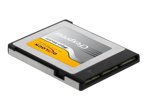 DELOCK DELOCK CFexpress Speicherkarte 256 GB