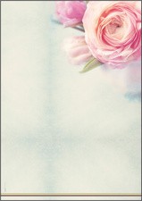 sigel Design-Papier, DIN A4, 90 g/qm, Motiv "Rose Bloom"