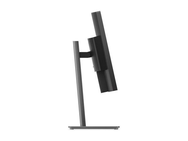 LENOVO LENOVO ThinkVision P34WD-40 86,36cm (34")