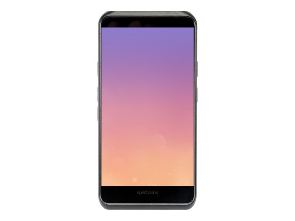 SPECTRALINK SPECTRALINK Versity 9540 Bundle Phone, Batt, Charger (KBK9540100)