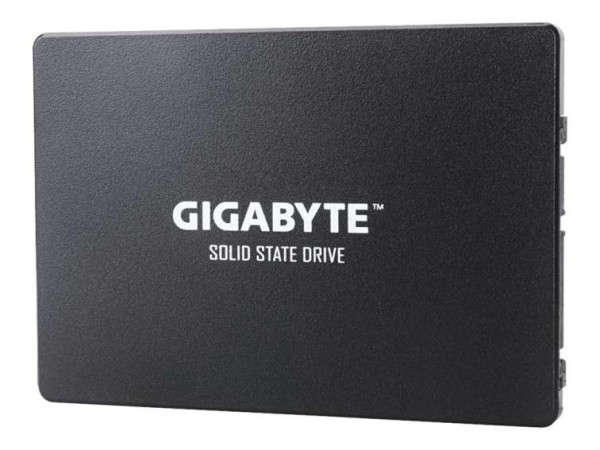 GIGABYTE GSTFS31100 1TB GP-GSTFS31100TNTD