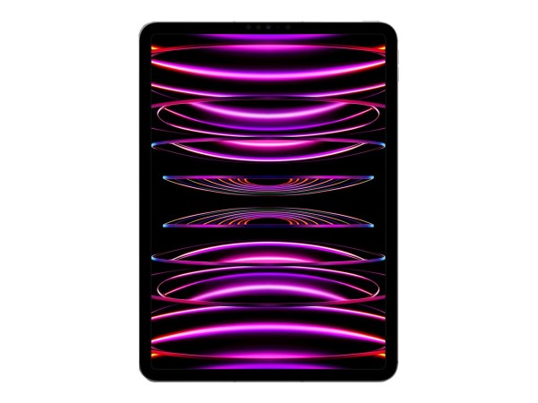 APPLE iPad Pro 11 Wi-Fi + Cellular spacegrau (4.Gen.) 27,9cm (11") M2 8GB 5 MNYG3FD/A