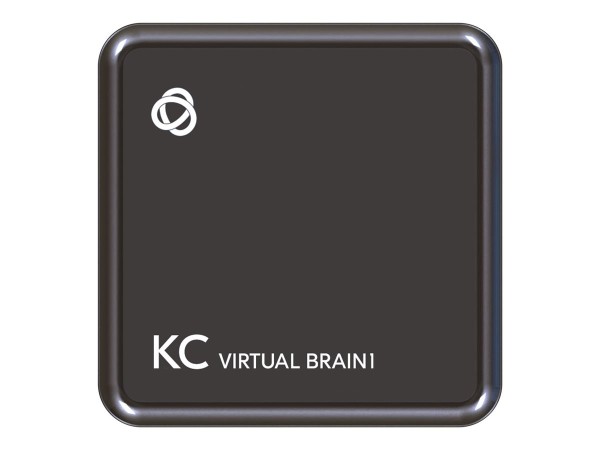 KRAMER Electronics KC-Virtual Brain1 - Raumsteuerungs-Controller mit 1x BRA 30-00021790