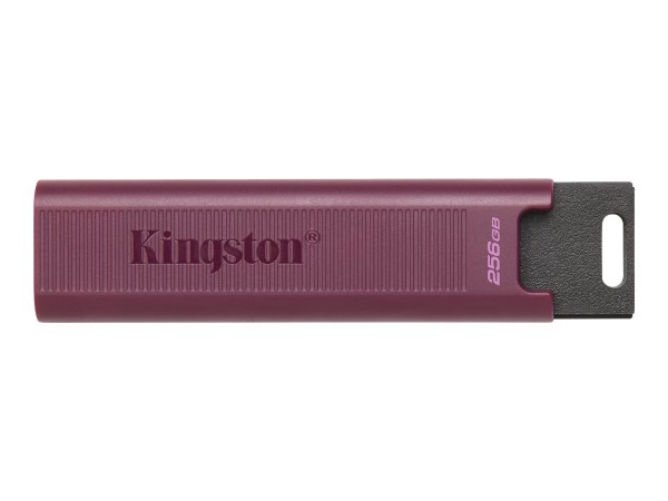 KINGSTON KINGSTON DataTraveler Max 1TB