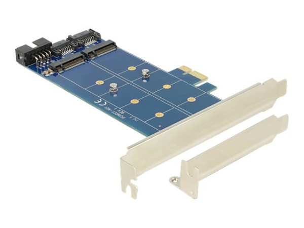 DELOCK DELOCK PCIe 2 x M.2 NGFF SATA + USB