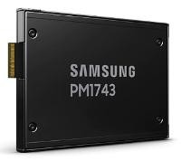 SAMSUNG SAMSUNG PM1733a 30,7TB