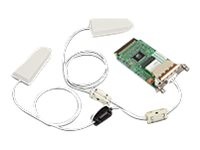 RICOH RICOH IEEE802.11 Interface  Typ O