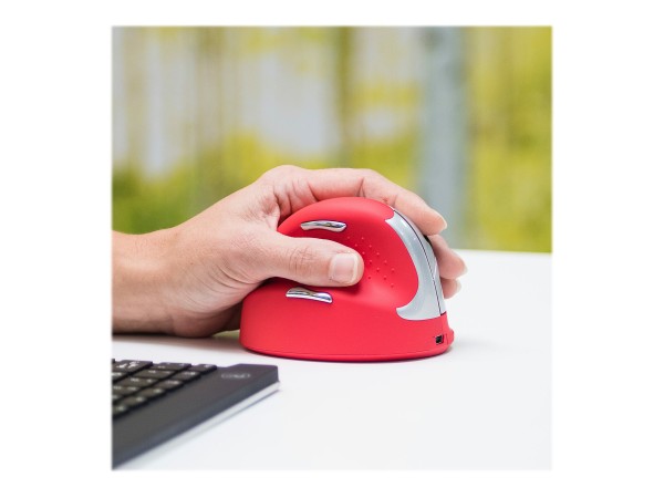 R-GO TOOLS R-GO TOOLS HE Maus ergonomic HE Sport Mouse medium Links BT rot retail