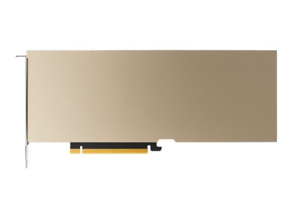 PNY NVIDIA Tesla A10 FH 24GB TCSA10M-PB