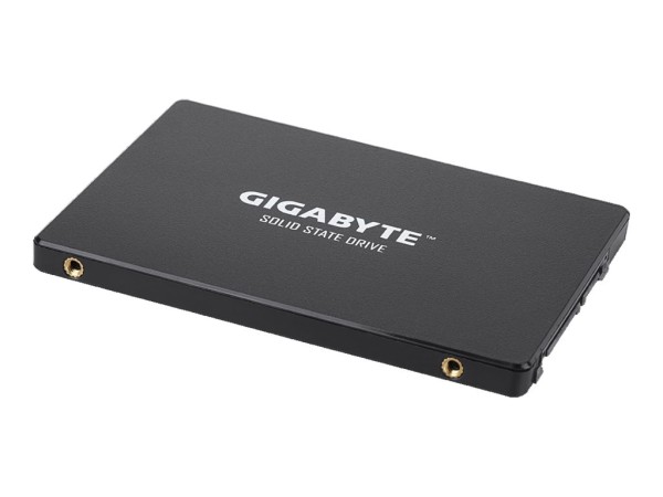 GIGABYTE GIGABYTE GP-GSTFS31240GNTD 240GB