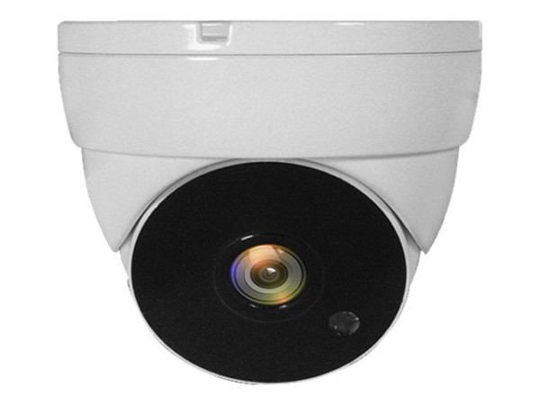 LEVELONE LEVEL ONE LevelOne 4-in-1 Fixed Dome CCTV Analog Camera, FHD 1080P
