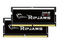G.SKILL G.SKILL 32GX2-RS 1.2 64GB Kit (2x32GB)