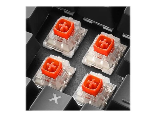 SHARKOON SGK60 Kailh BOX RED ES 4044951033515