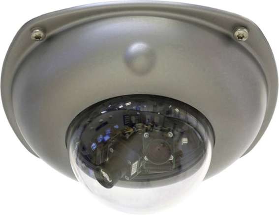 MOBOTIX Zubehör D15 Vandalismus-Set - Edelstahl / matt MX-D15-VANDAL-ESMA