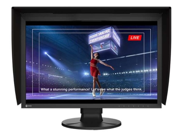 EIZO ColorEdge CG2400SV 61,2cm (24,1") CG2400SV