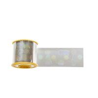 ZEBRA ZEBRA i Series Bottom Safe Globe Design - 1 mil - holografische Folie - 725 Karte(n) (1 Rolle(n) x 7