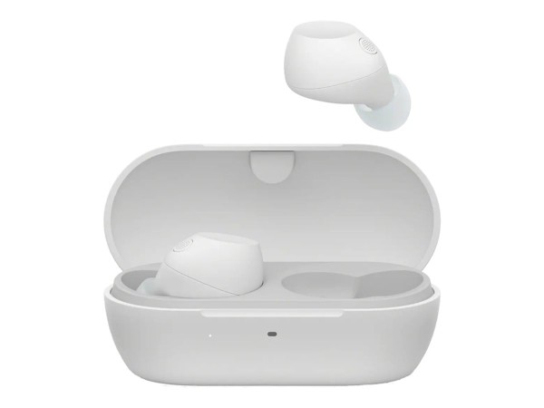 SONY SONY WF-C710N - True Wireless-Kopfhörer mit Mikrofon