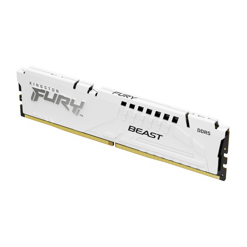 KINGSTON FURY Beast White EXPO 32GB KF556C36BWE-32