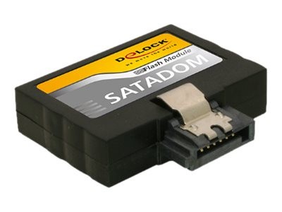 DELOCK Delock Flash Modul 32GB