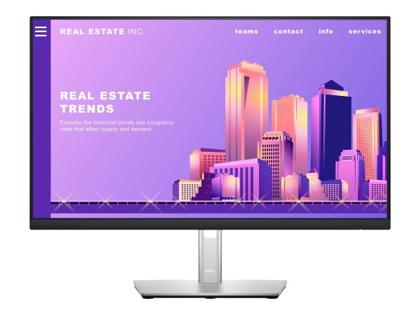 DELL P2422H 60,5cm (23,8") 210-AZYX
